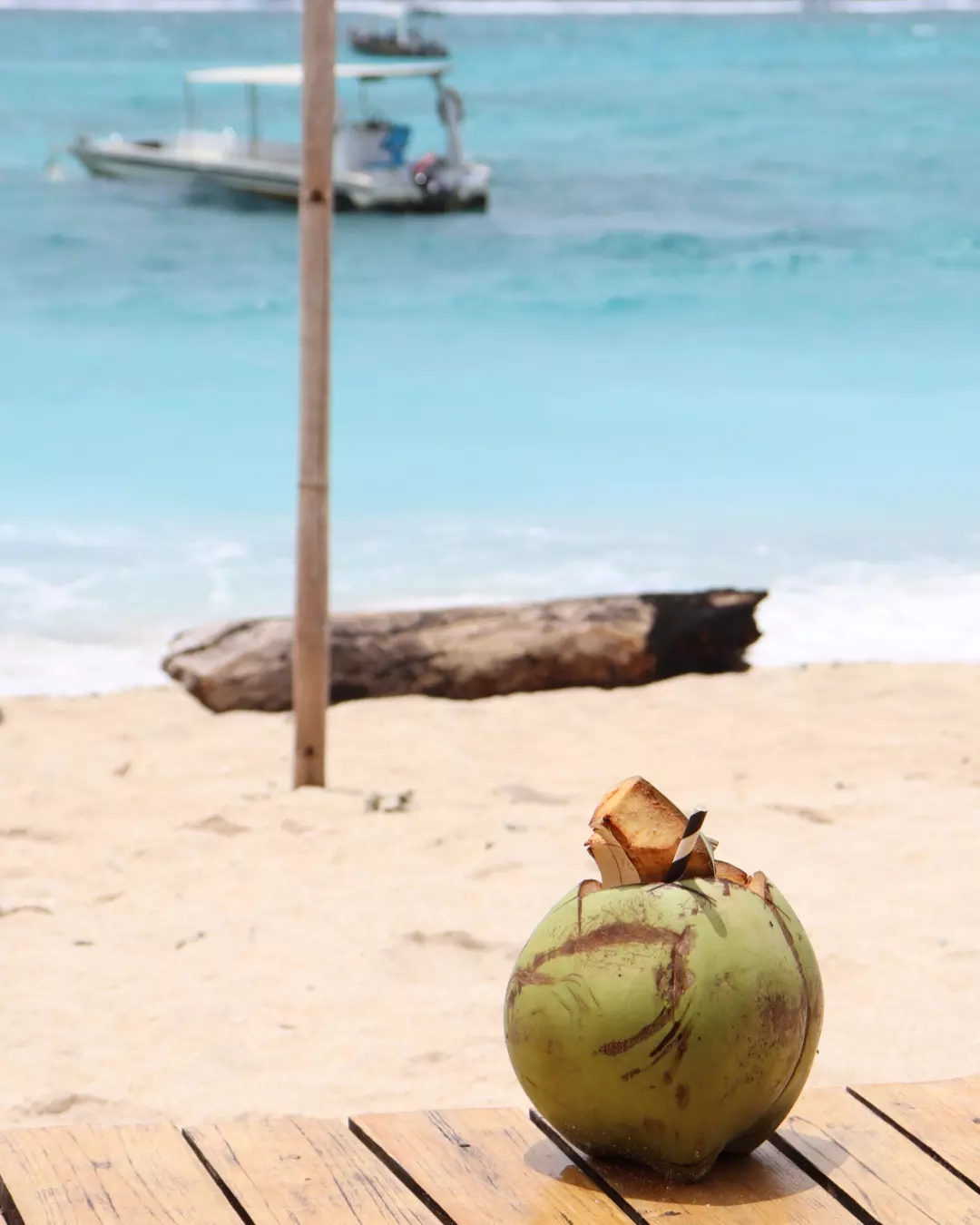 Kelapa Dingin