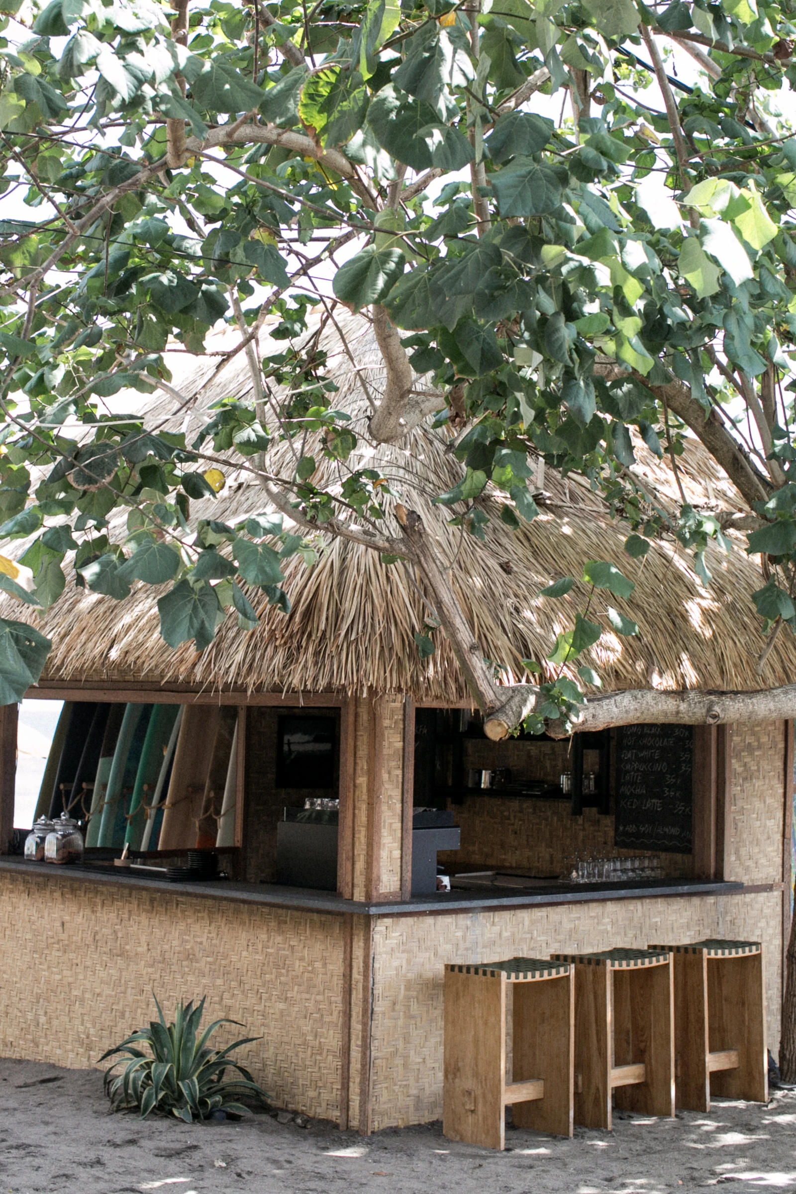 Times Beach Warung — 木陰のコーヒー小屋