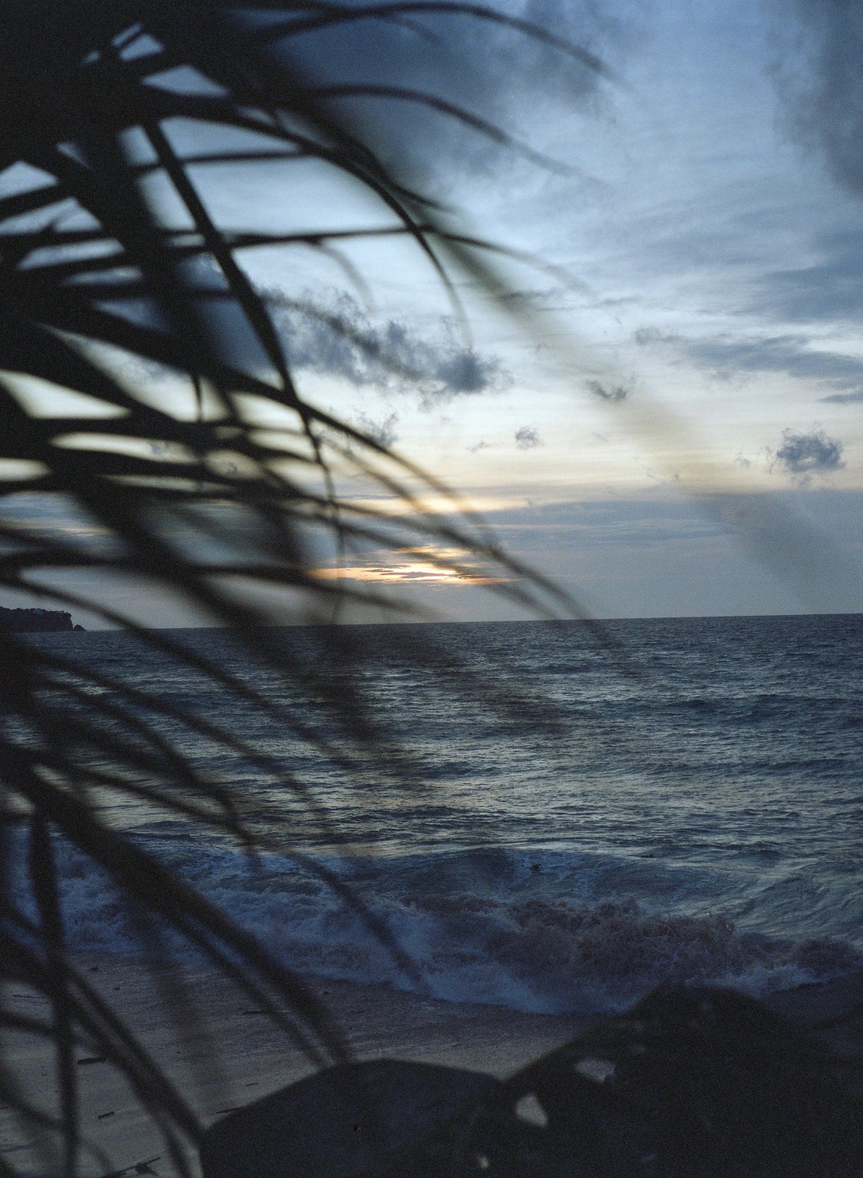 Times Beach Warung — 木々の向こうの夕日