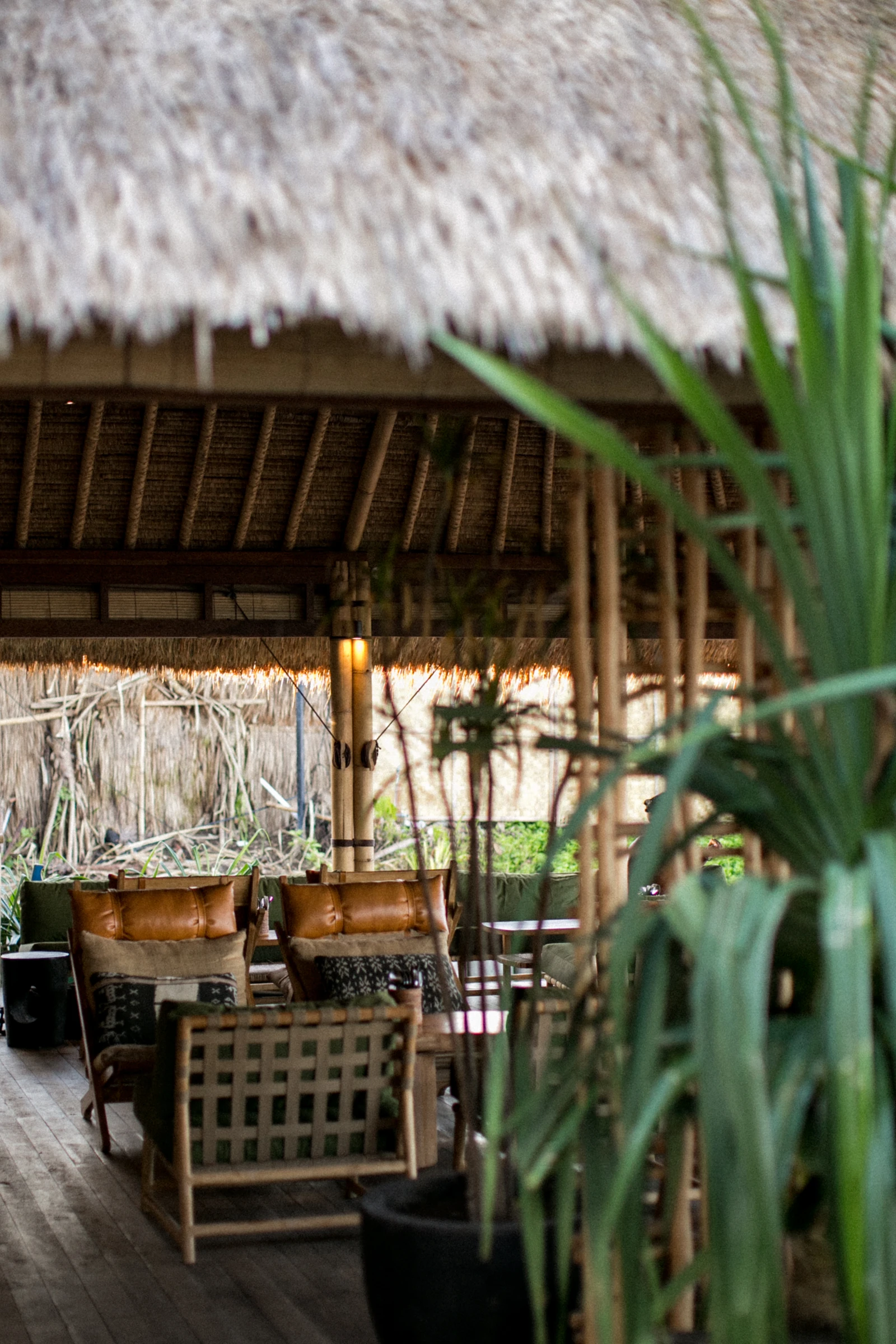Times Beach Warung — 木々の間の入口