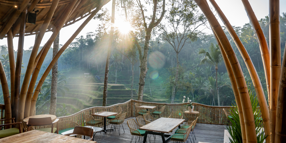 Cahaya pagi di bawah atap bambu