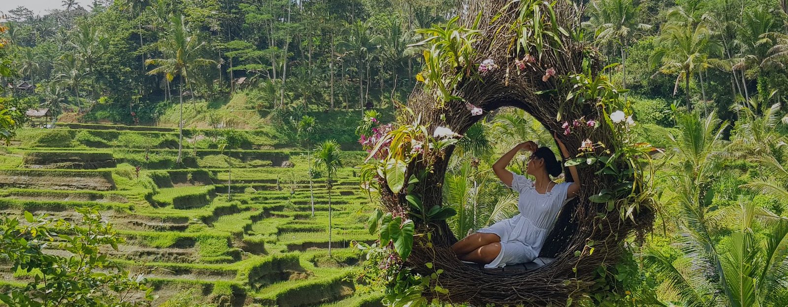 Spot foto berbentuk sarang di tepi sawah