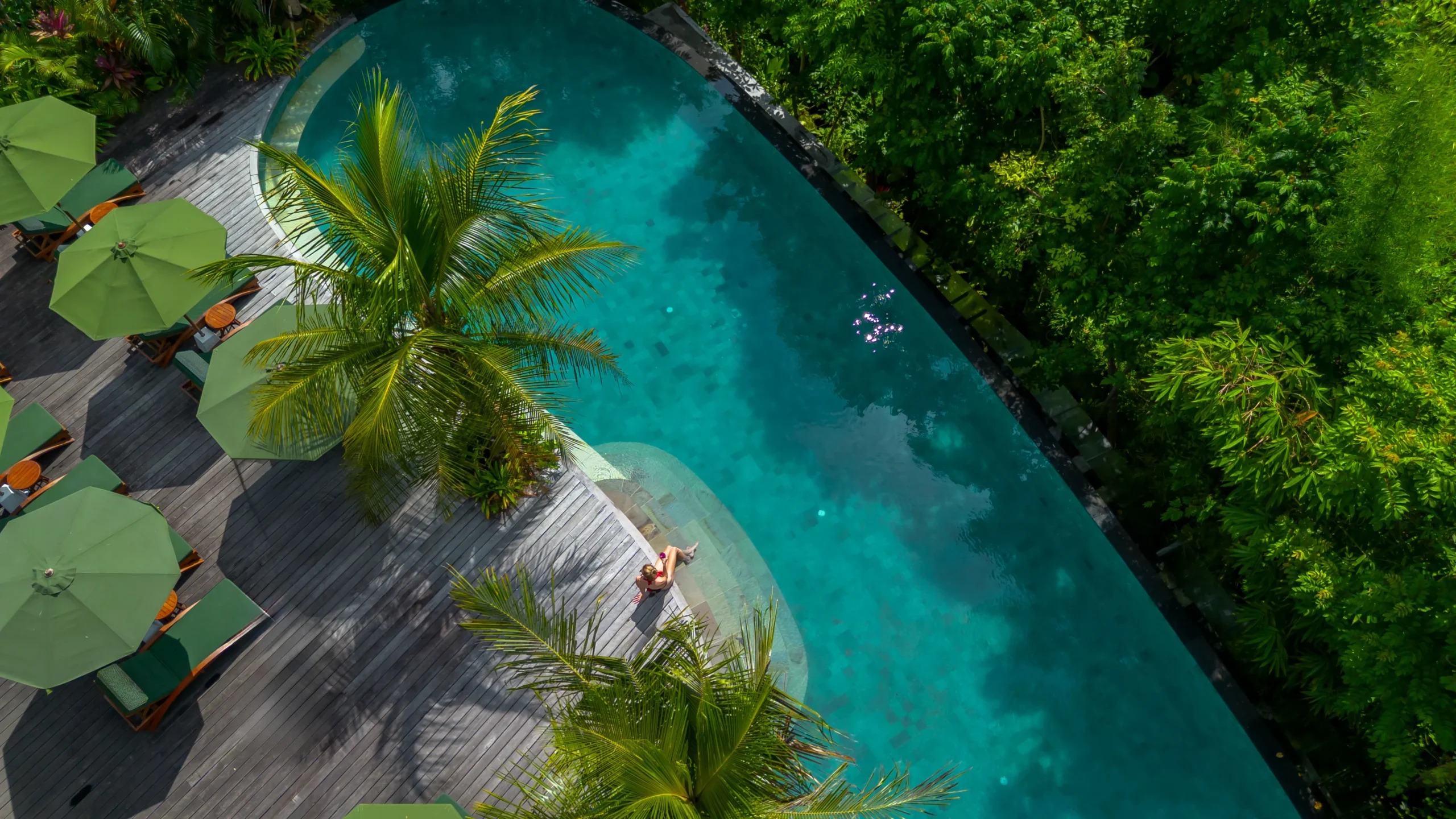 Tropical Oasis Pool Bar