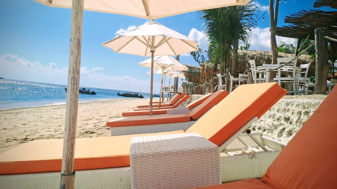 Beachfront Sun Loungers