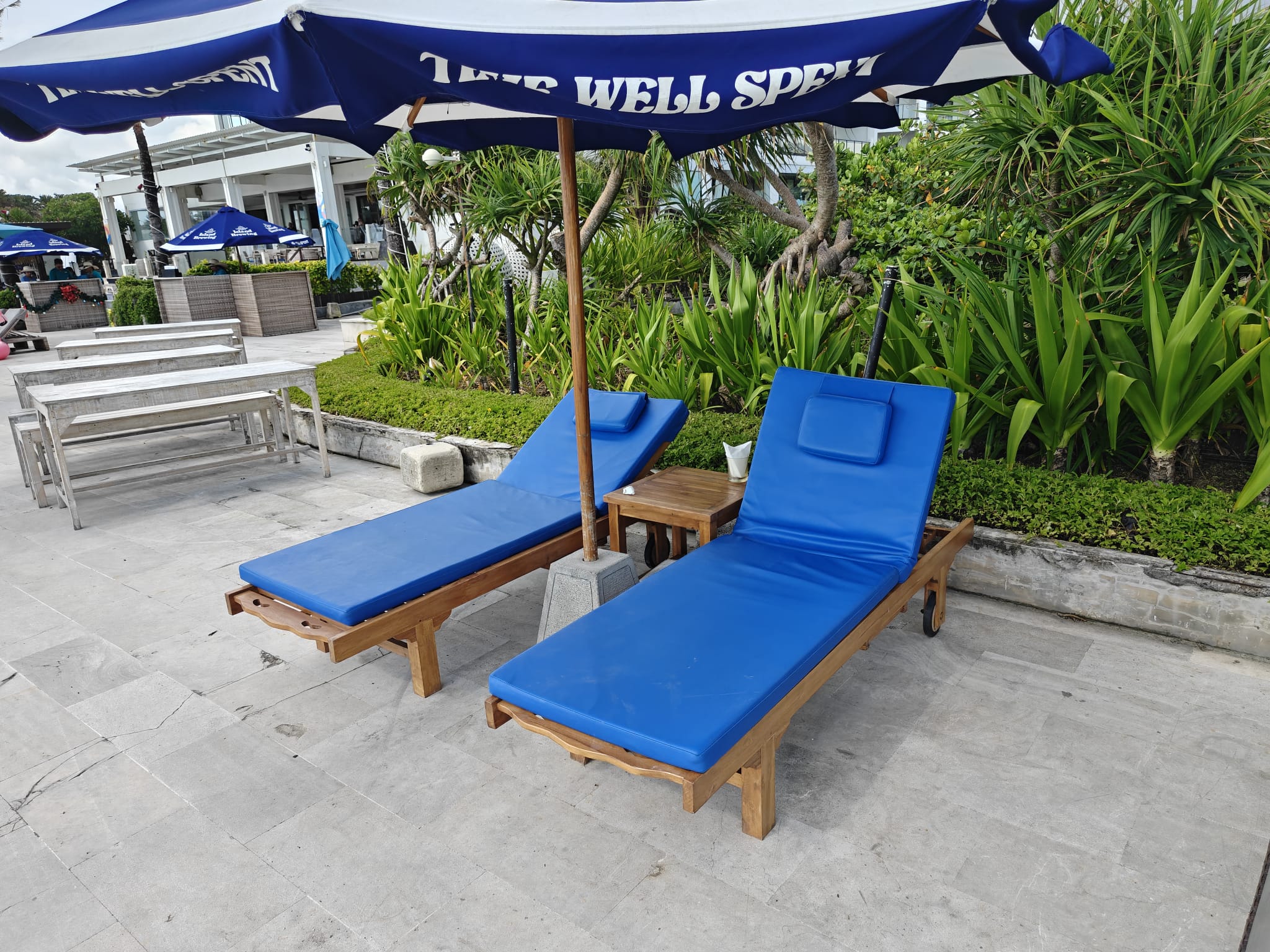 Single Sunbed