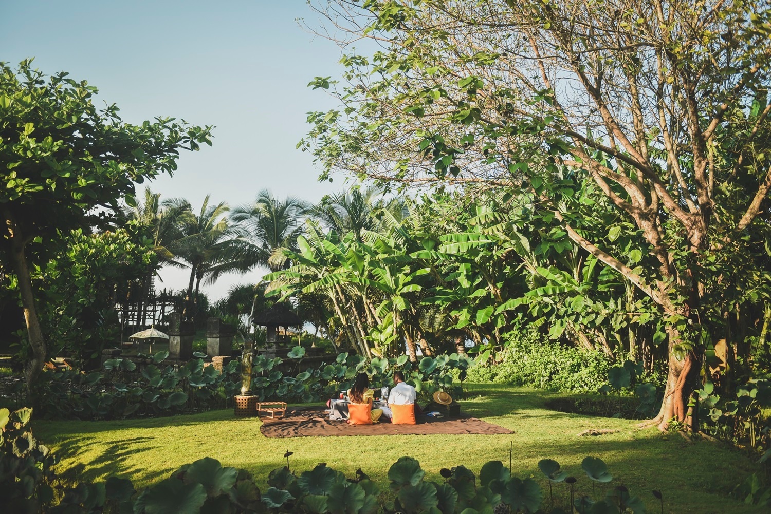 Resort garden