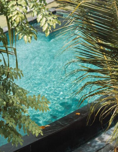 Pool Water and Tree Shade