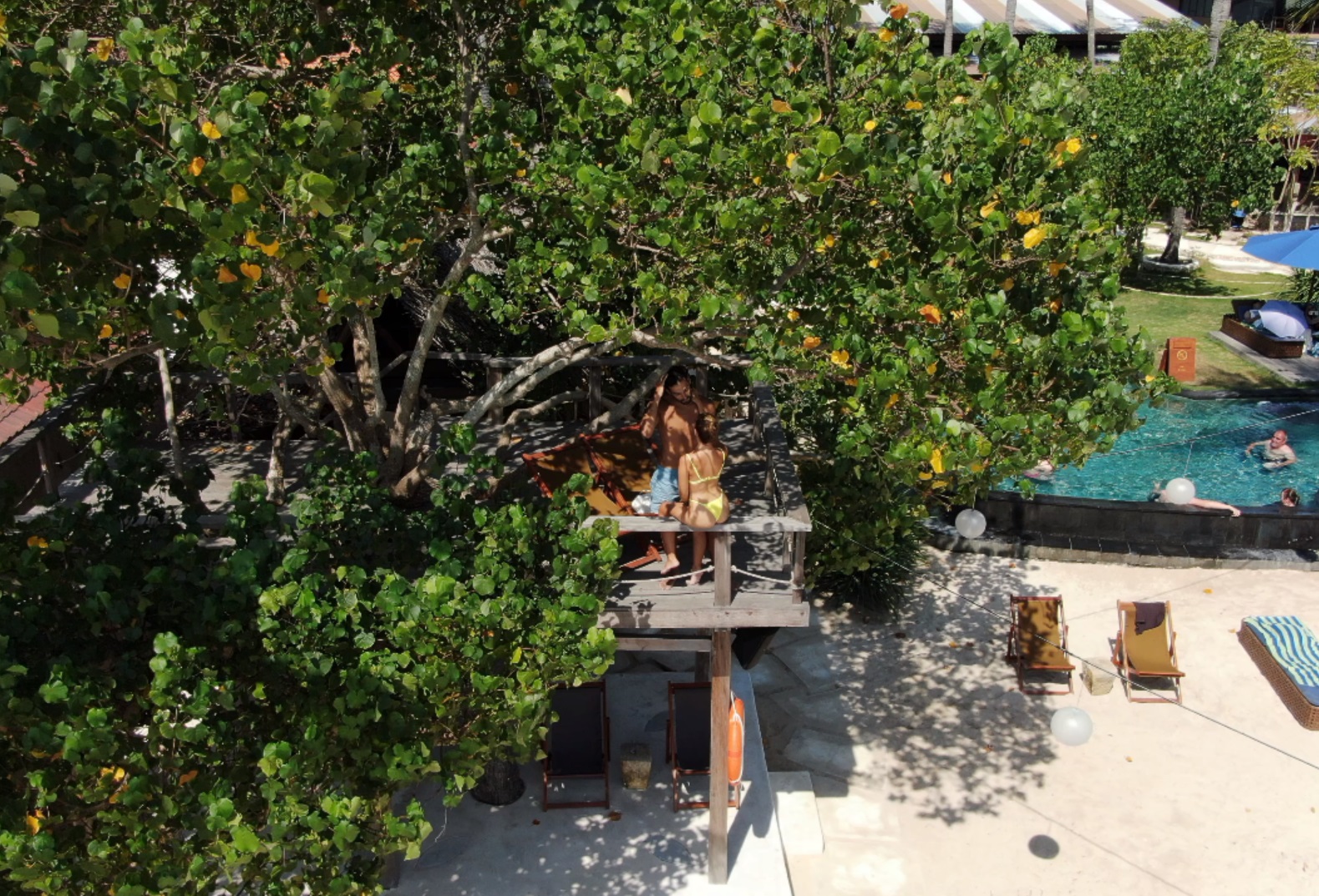Tree House in the Shade