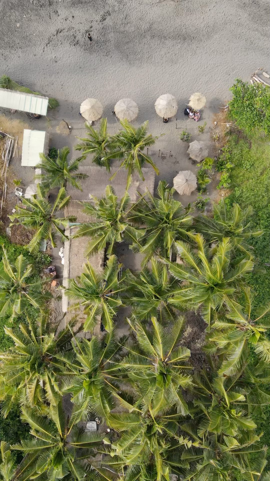 Pesisir Seseh dari Atas
