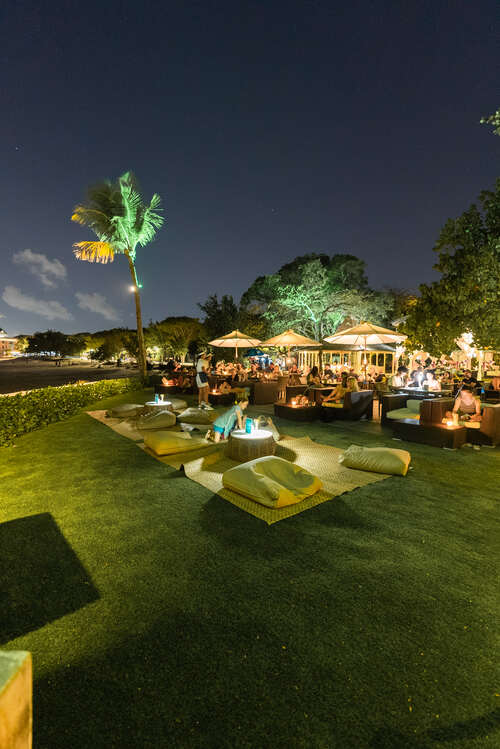 Illuminated palm tree and beachfront garden lounge at night