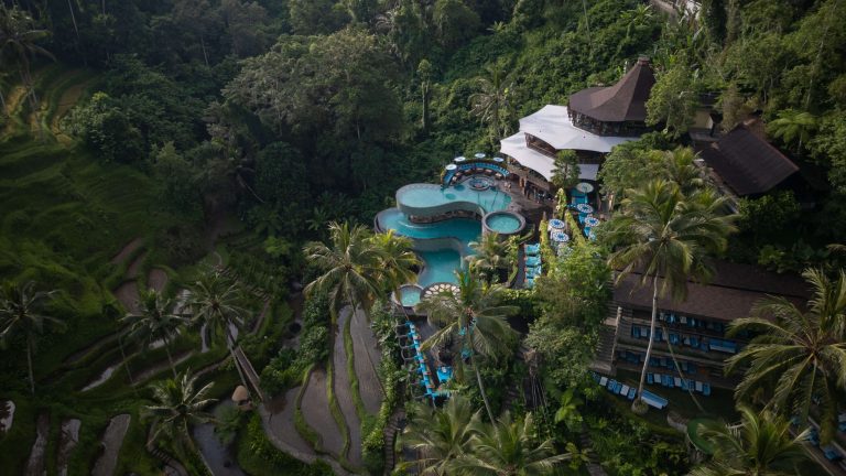 Cretya Ubud pool overview with rice terrace surroundings