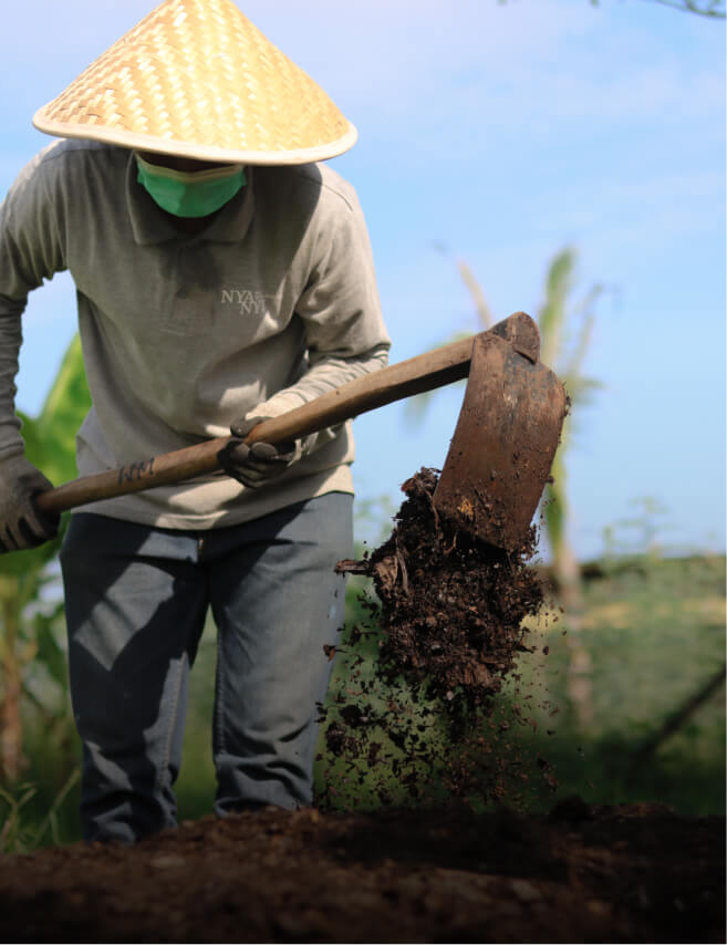 Gambar pengalaman farm-to-table di KORO Bali