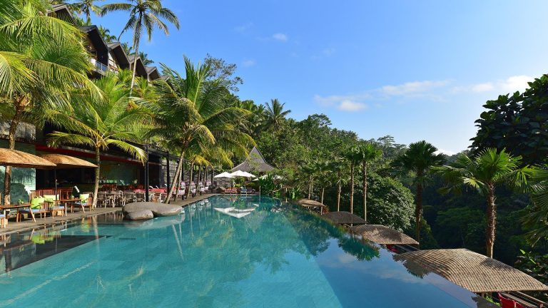 Jungle Fish Pool Bar infinity pool and valley overview