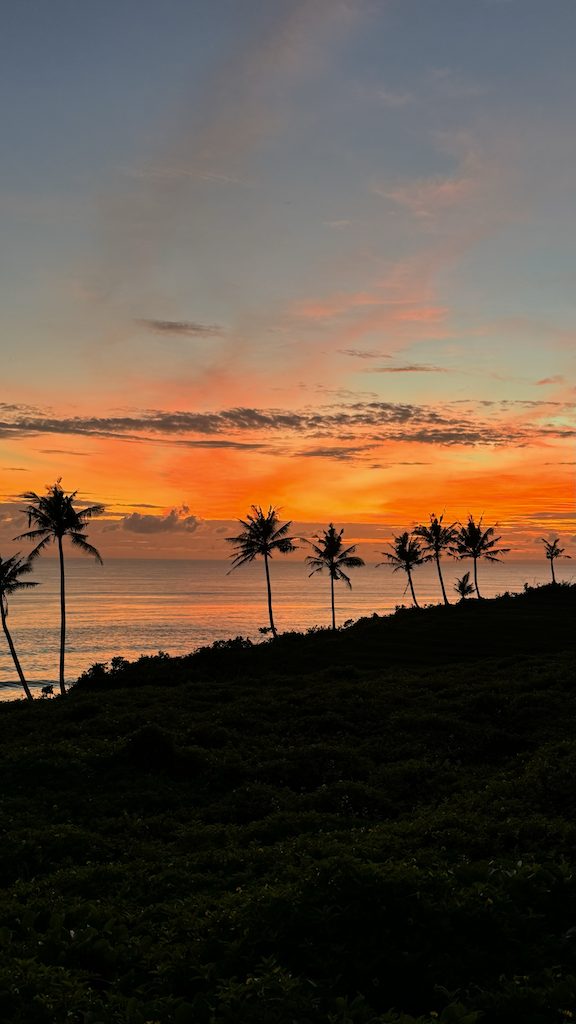 Balian Beach palms and sunset